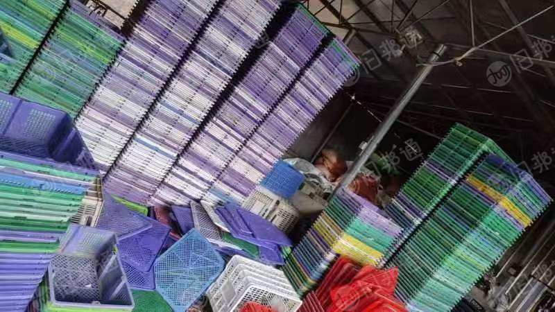 两千个左右的二手优质鹌鹑蛋筐,出售