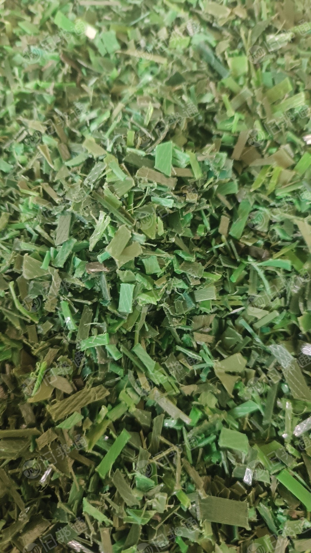 长期回收PET打包带,绿色,黑色压包,要求干净无杂