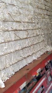 长期出售纯白口杯纸边料，都是纸杯料