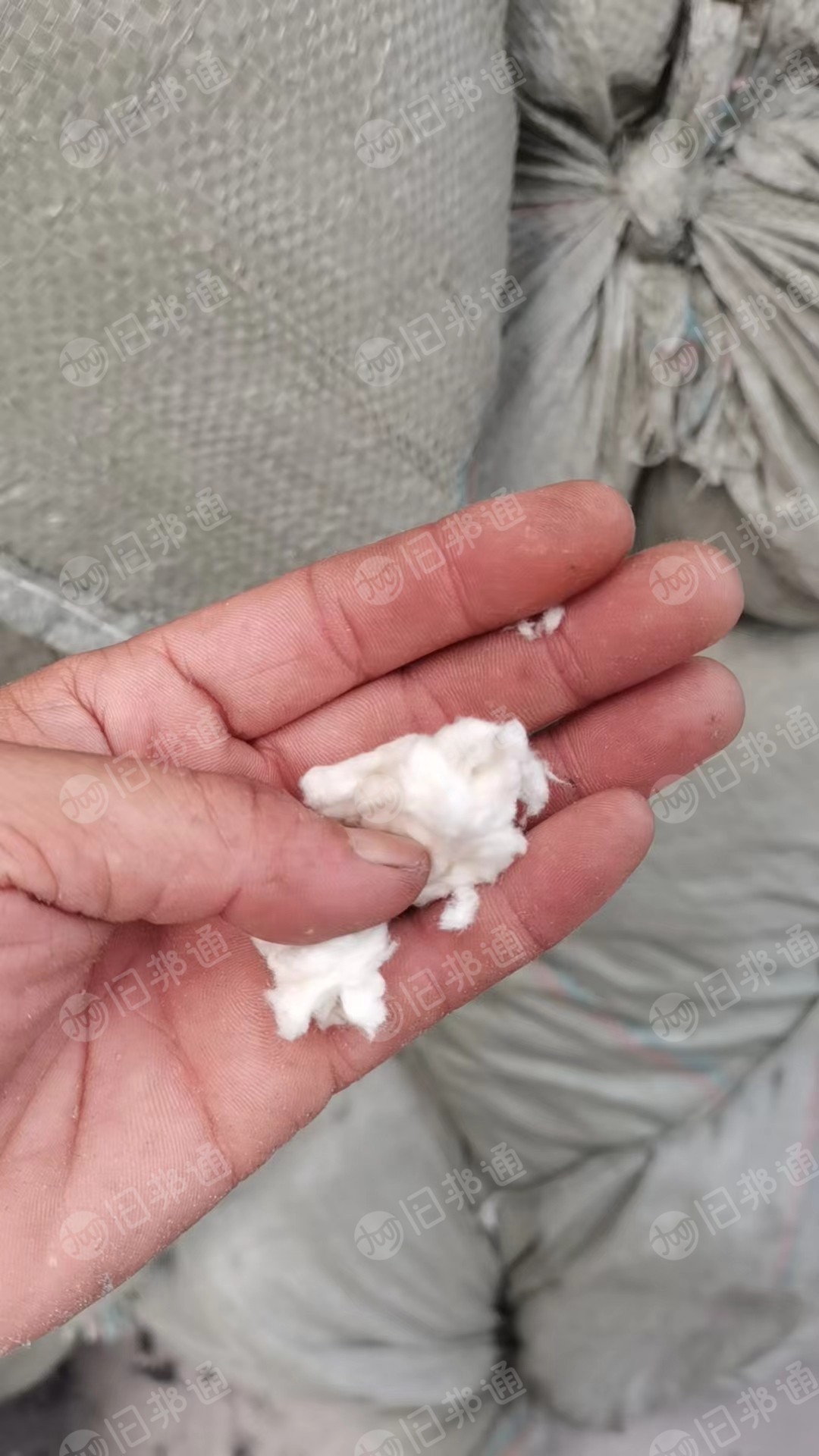 涤纶毛毛料,涤纶磨毛料,涤纶废布,出售