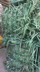 pet绿色打包带，现货有100吨，出售