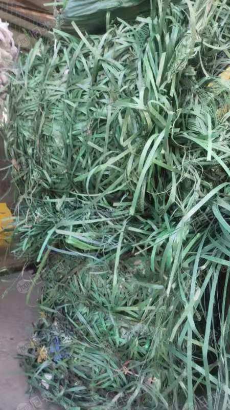 pet绿色打包带,现货有100吨,出售