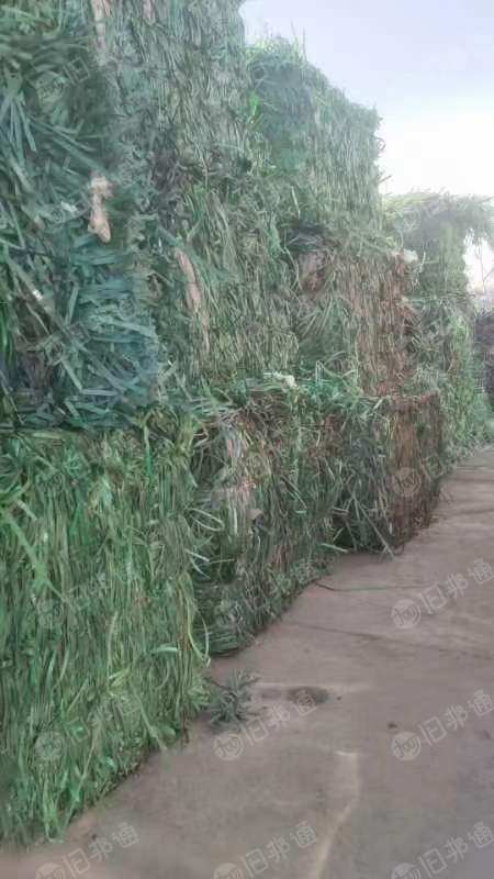 pet绿色打包带,现货有100吨,出售