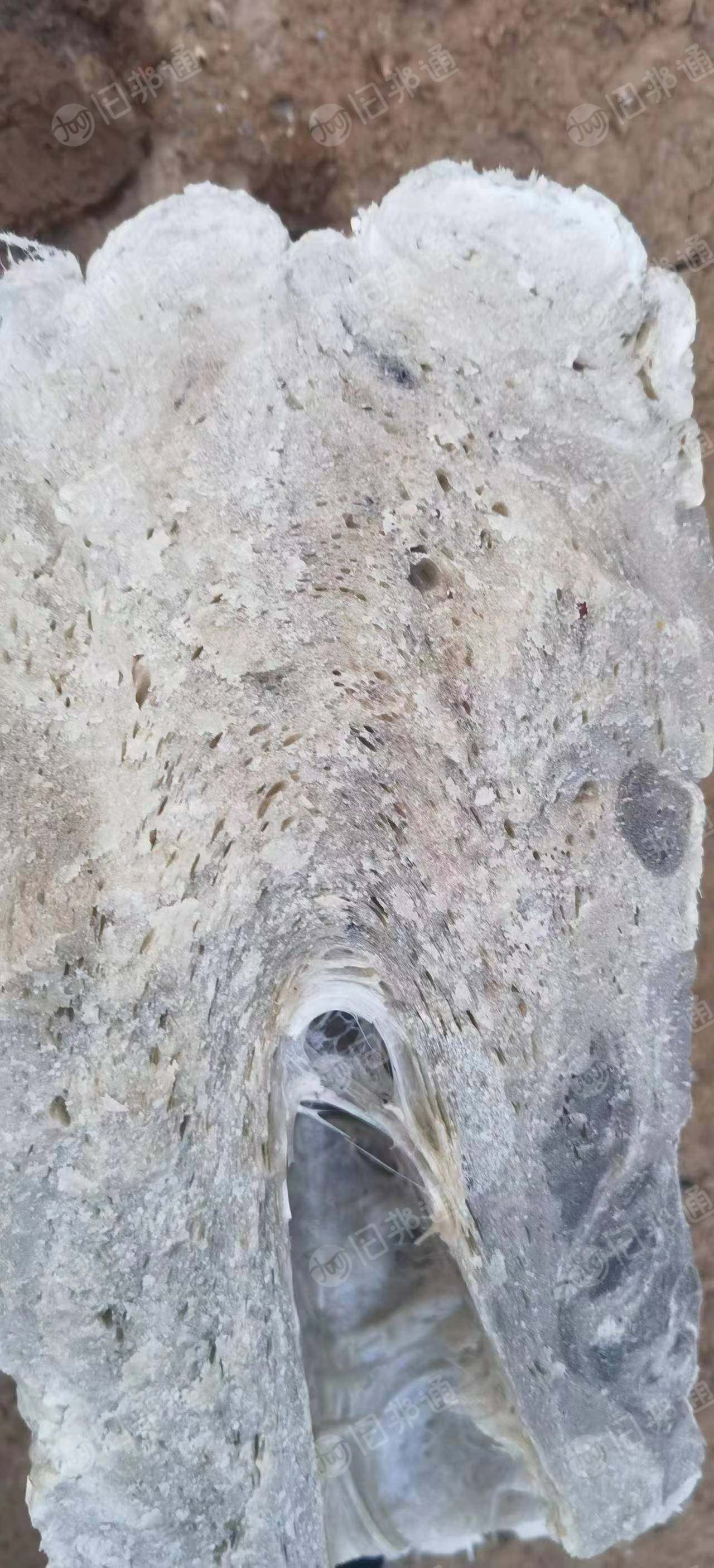 出售EPS热熔块,现货10吨,长期有