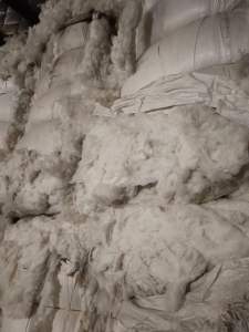 长期供应纺纱用棉被子用棉各种开花棉