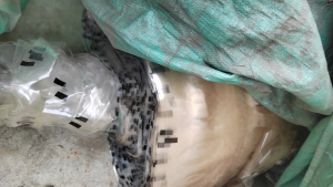 长期出售食品厂复合膜废料