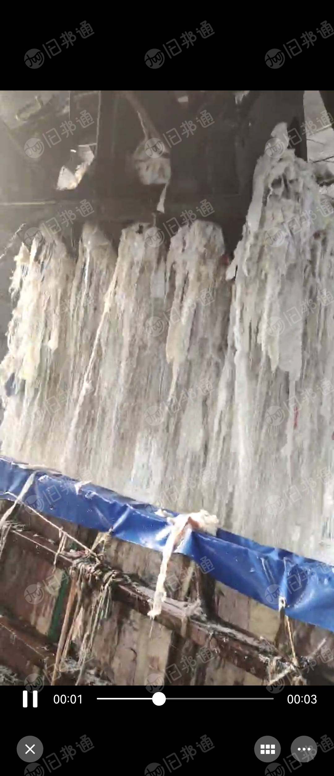 牛仔布快开花棉厂家,85棉,95棉,灯照棉,99.5纯棉长期供应