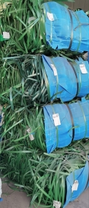 长期出售PET打包带毛料