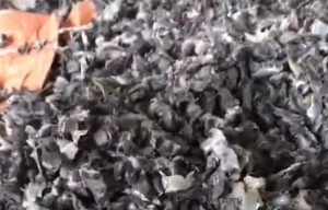 常年出售汽车油箱破碎料