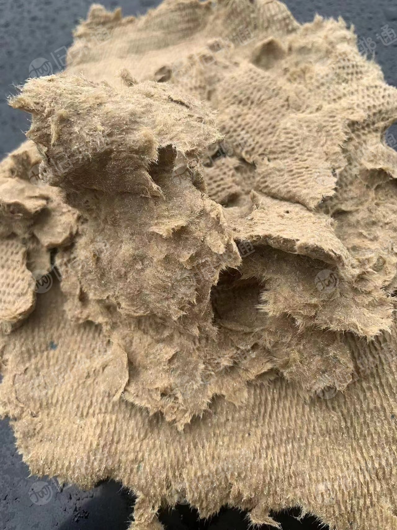 长期出售牛皮纸浆,水分67-70%
