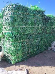 长期出售PET打包带废料