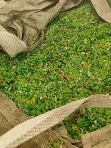 瓶盖破碎料，现货两个挂，出售