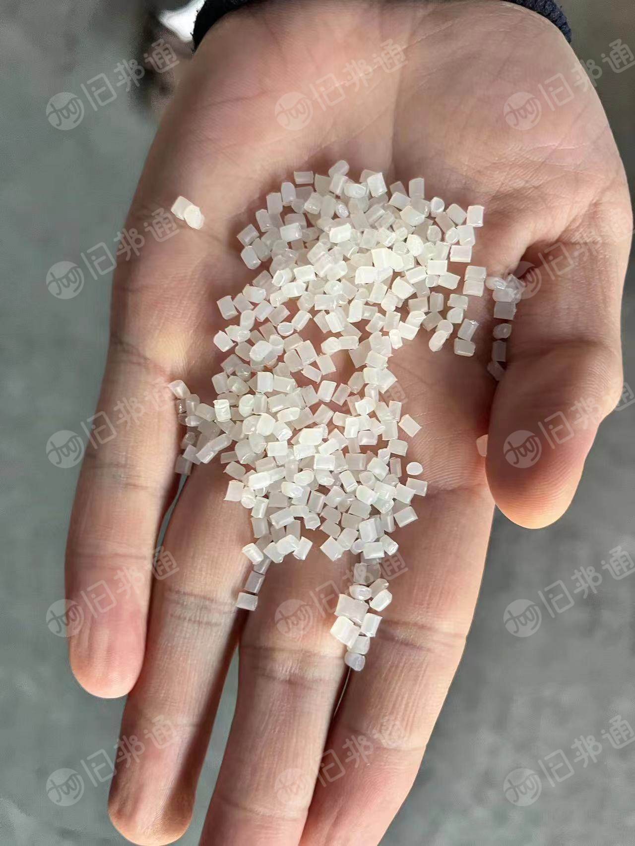 回收白色尼龙有光颗粒，单6颗粒，PA6颗粒，白色尼龙扎带毛料