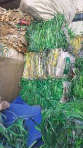 出售pet打包带毛料