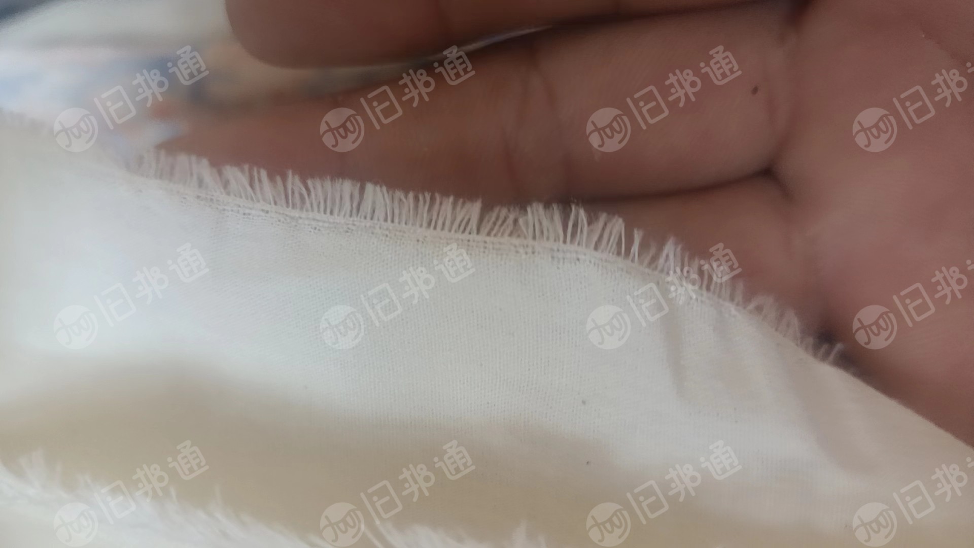 涤棉布,CVC 棉60 涤40 一个批号,出售