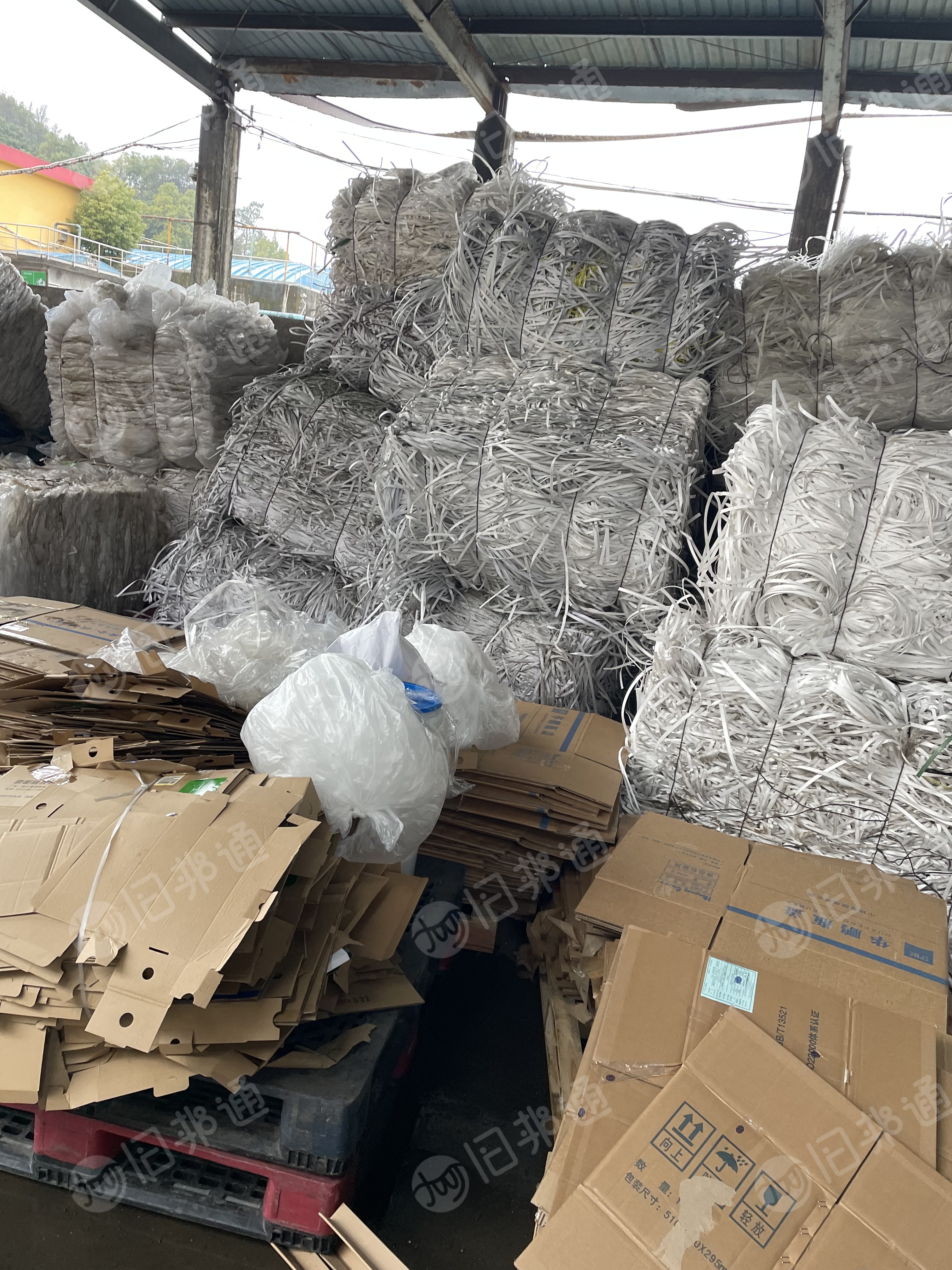 常年出售PP透明打包带毛料,现货10几吨