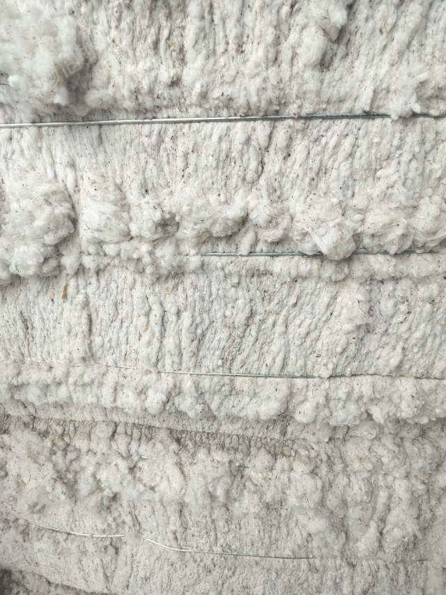 出售粘棉车肚,涤棉车肚