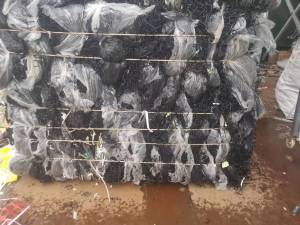 长期出售PA646水囗