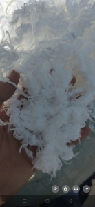 氨纶干丝，氨纶废丝，麻花丝，氨纶水丝，白色，黑色  麻花丝 出售