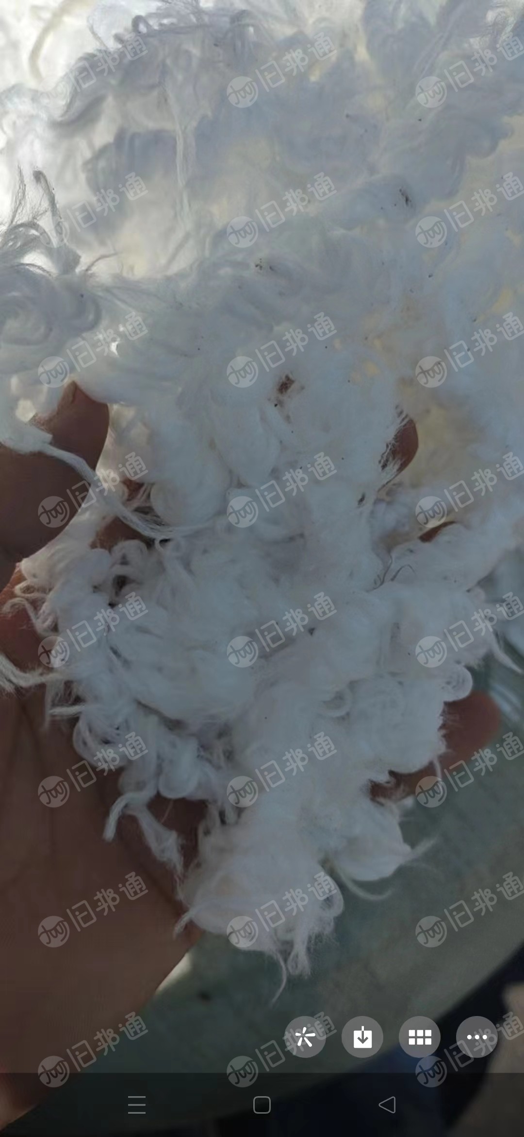 氨纶干丝,氨纶废丝,麻花丝,氨纶水丝,白色,黑色 麻花丝 出售