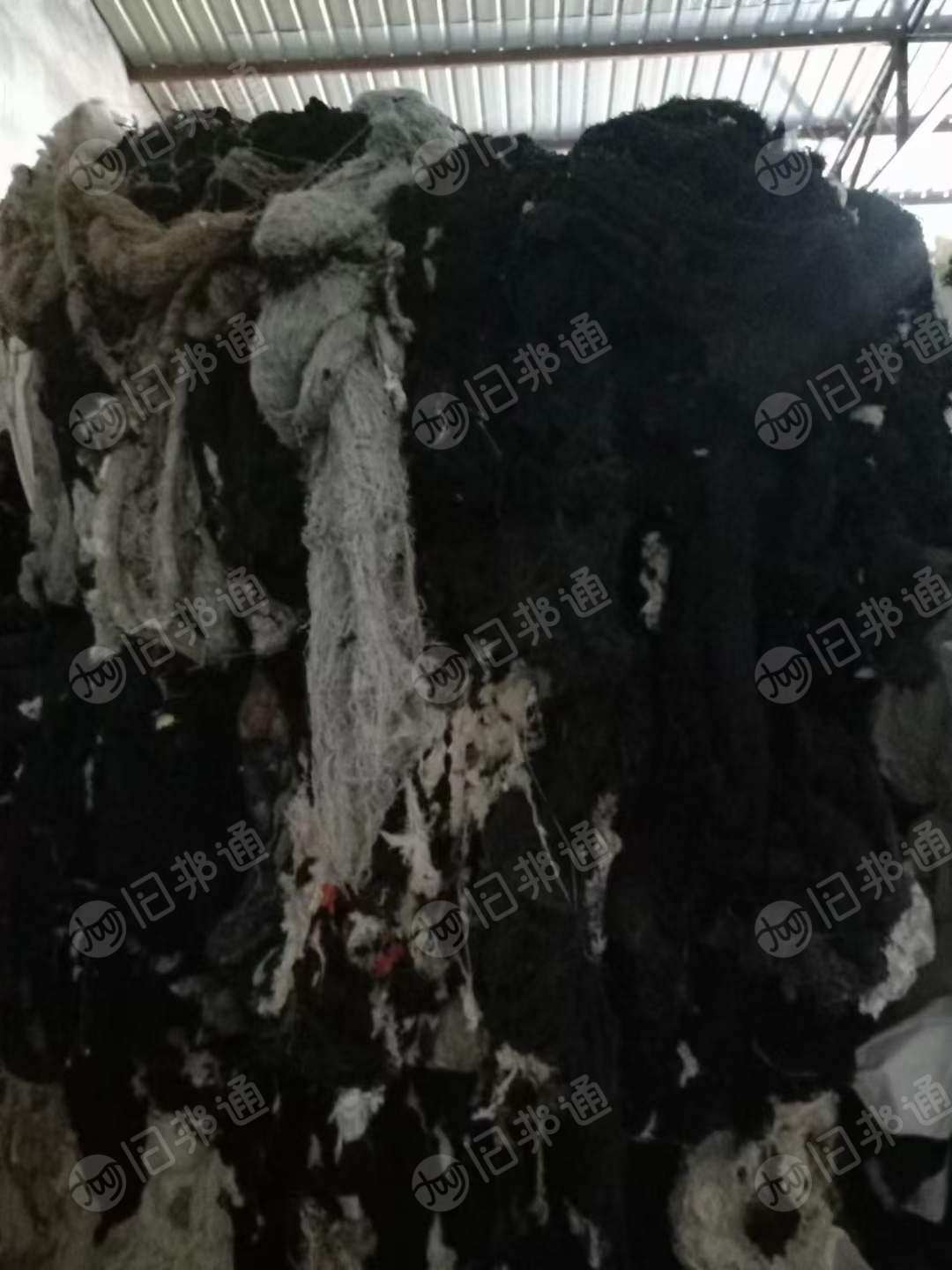 出售棉纺厂下来的混色涤棉回丝十几吨