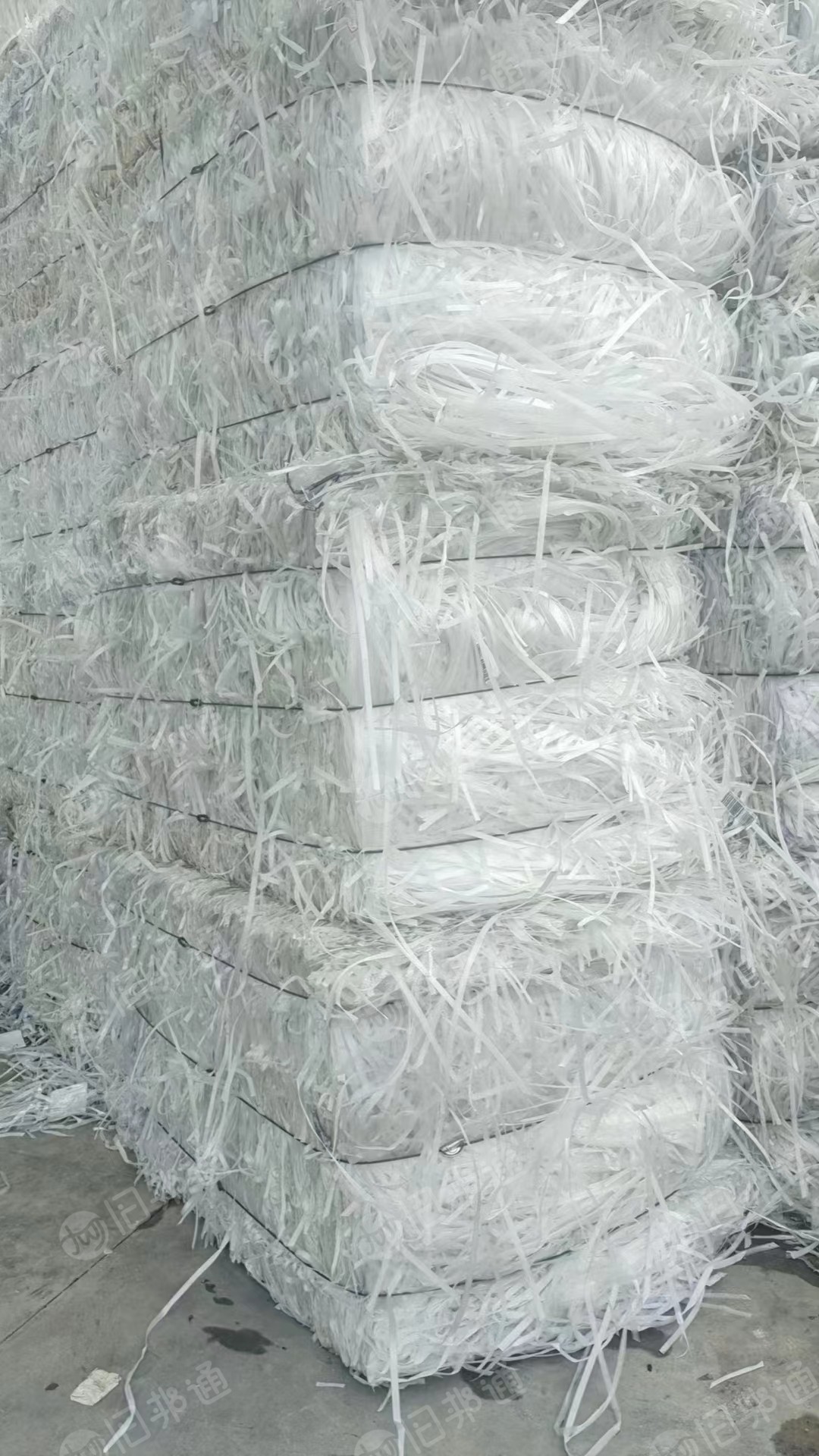 大量求购pp透明打包带