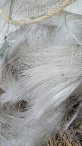 出售杂色PBT废丝头发丝5吨左右