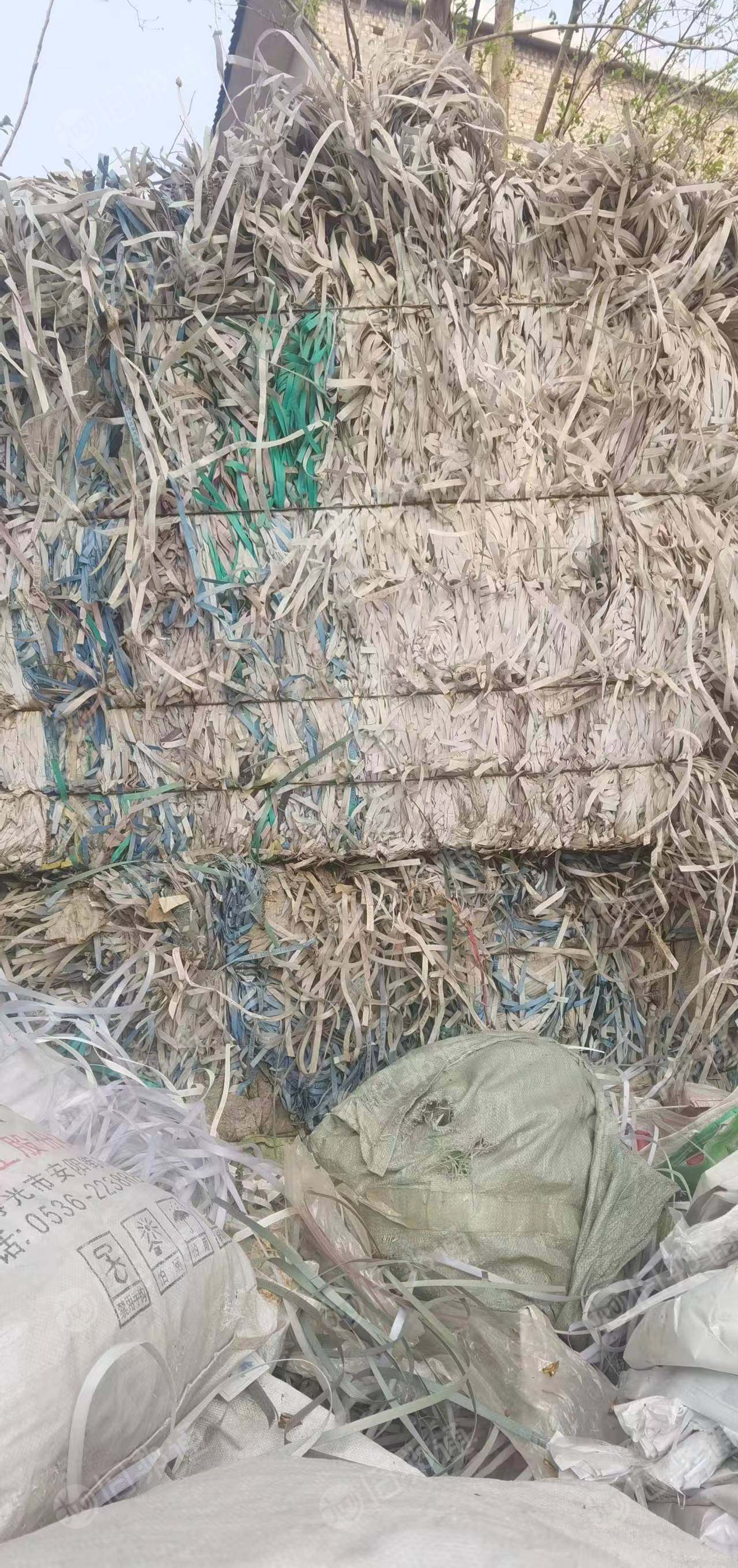 PP打包带毛料,漂沉一起,现货5吨多出售