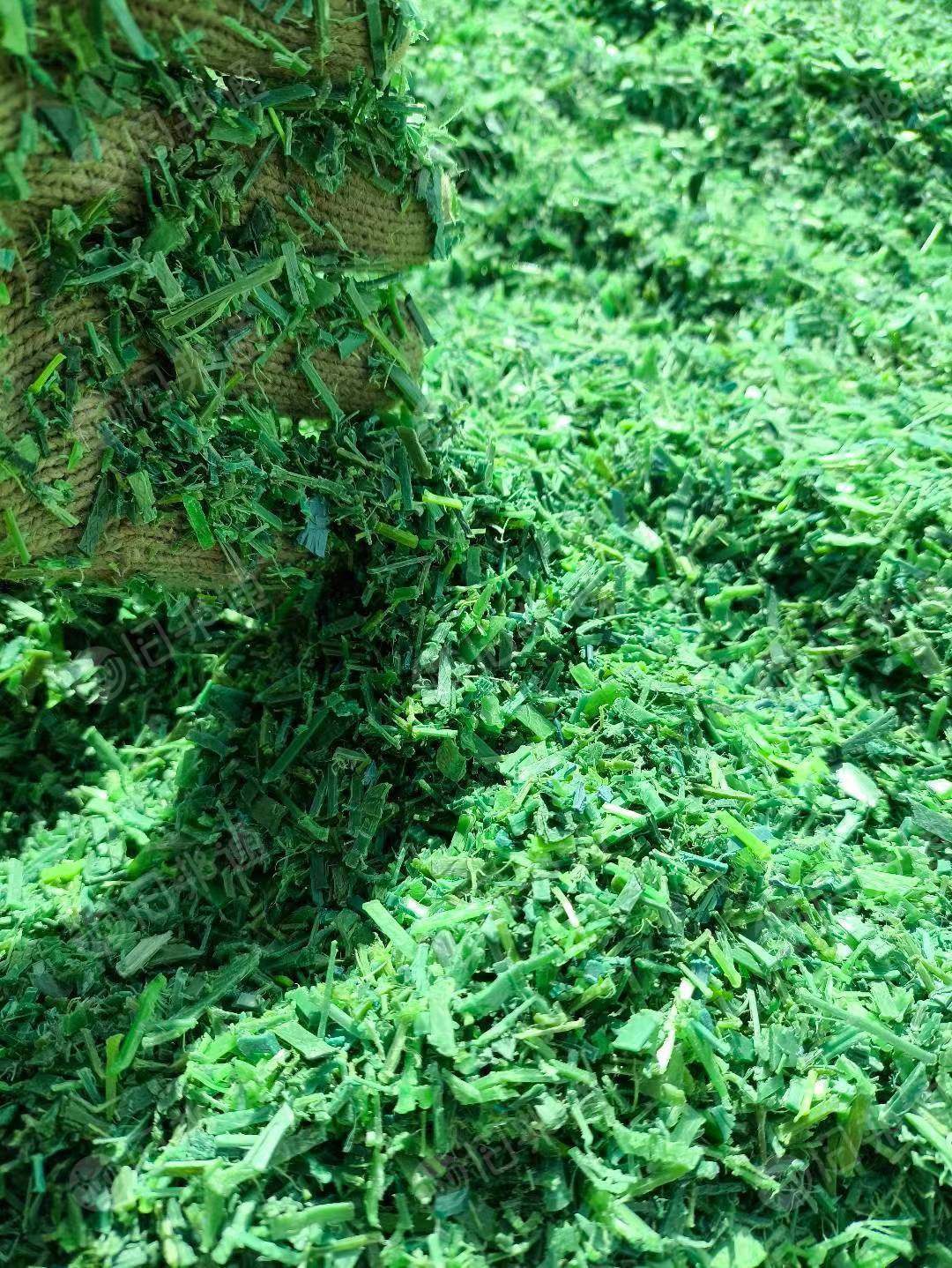 常年出售PET打包带破碎料,水洗干净