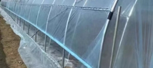 PE大棚膜废料长期出售，月供10吨左右 