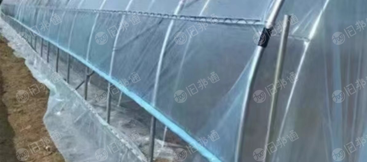 PE大棚膜废料长期出售,月供10吨左右