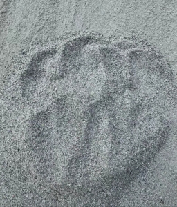 pvc粉，国标40目，含量55-60，适合做碳晶板，现货100吨，月供1000吨，出售