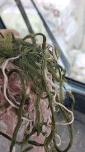 出售丙纶废丝40吨，浙江嘉兴提货，可以做的联系！