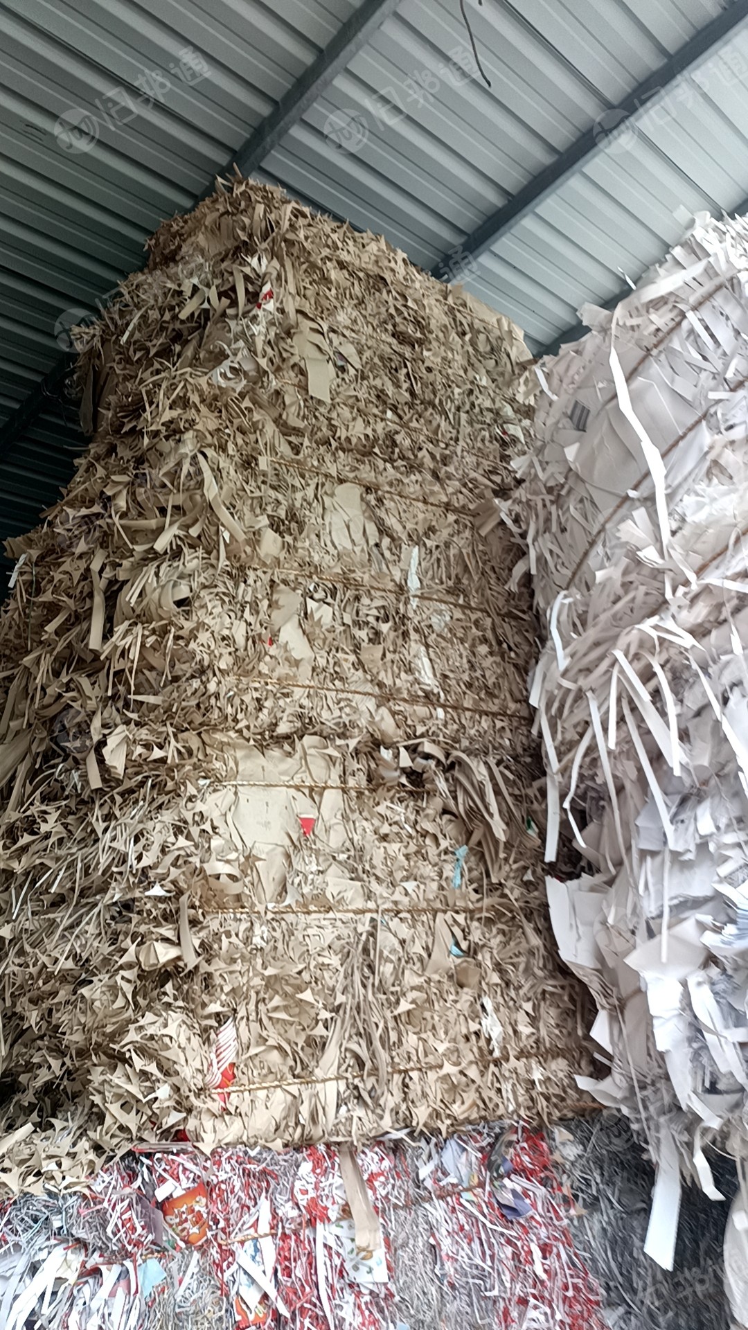 长期出售白色口杯纸,本色口杯纸
