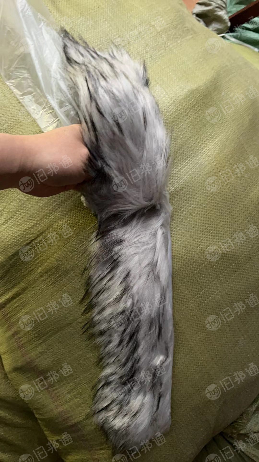 出售毛条毛领几千条,共20大袋