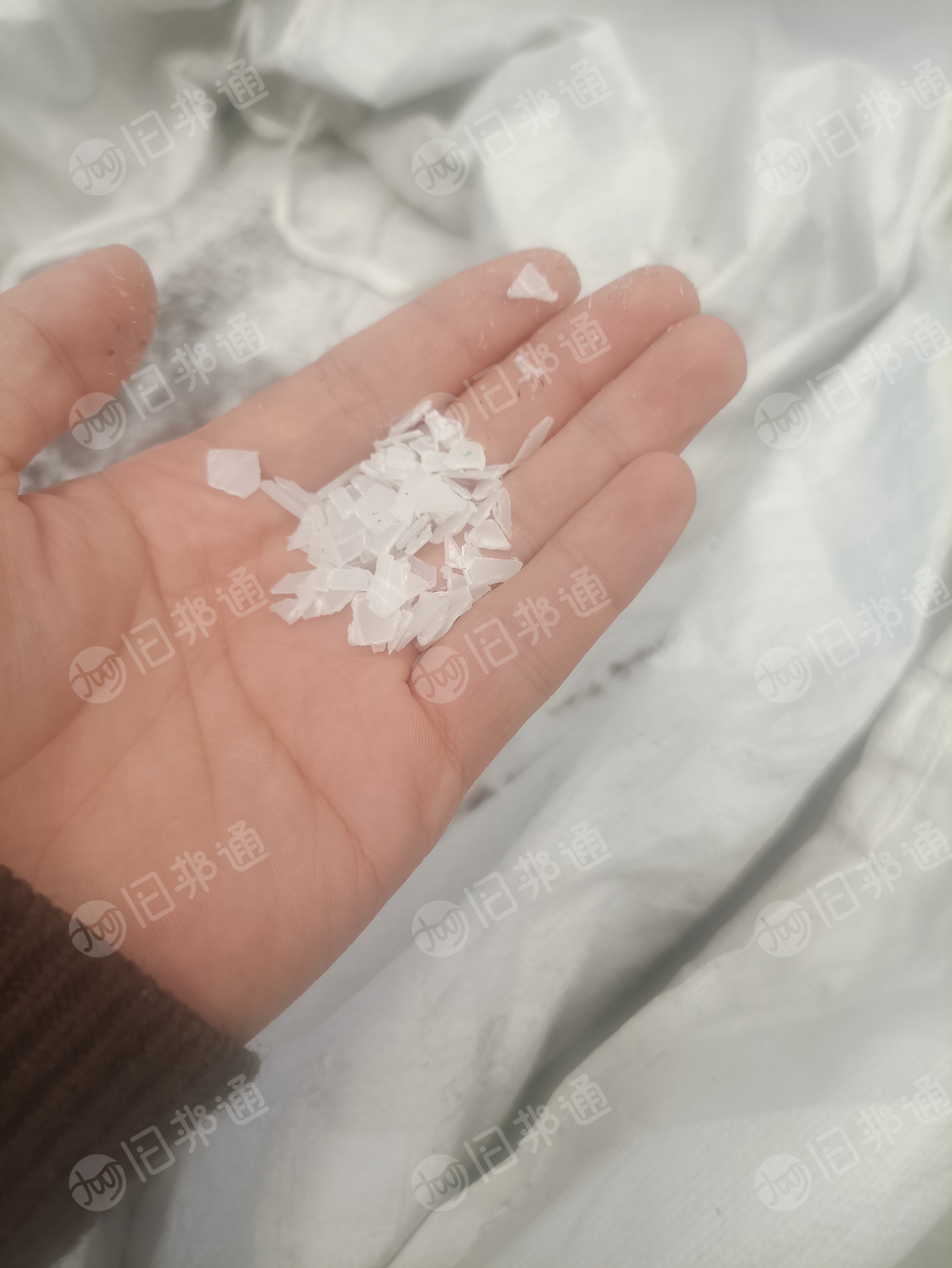 收购本色白色吸塑pp破碎料