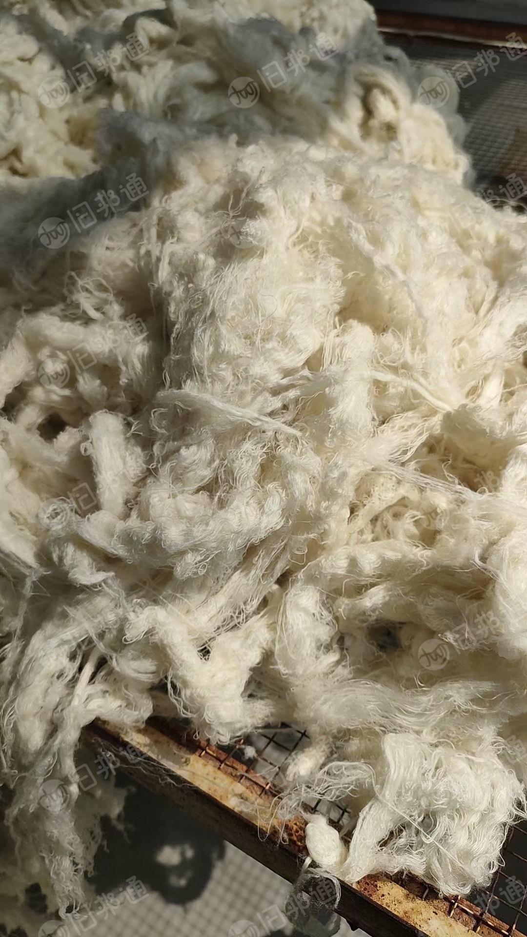 长期收够各种羊绒制品下脚料 软硬回丝 回毛 抄车 落物