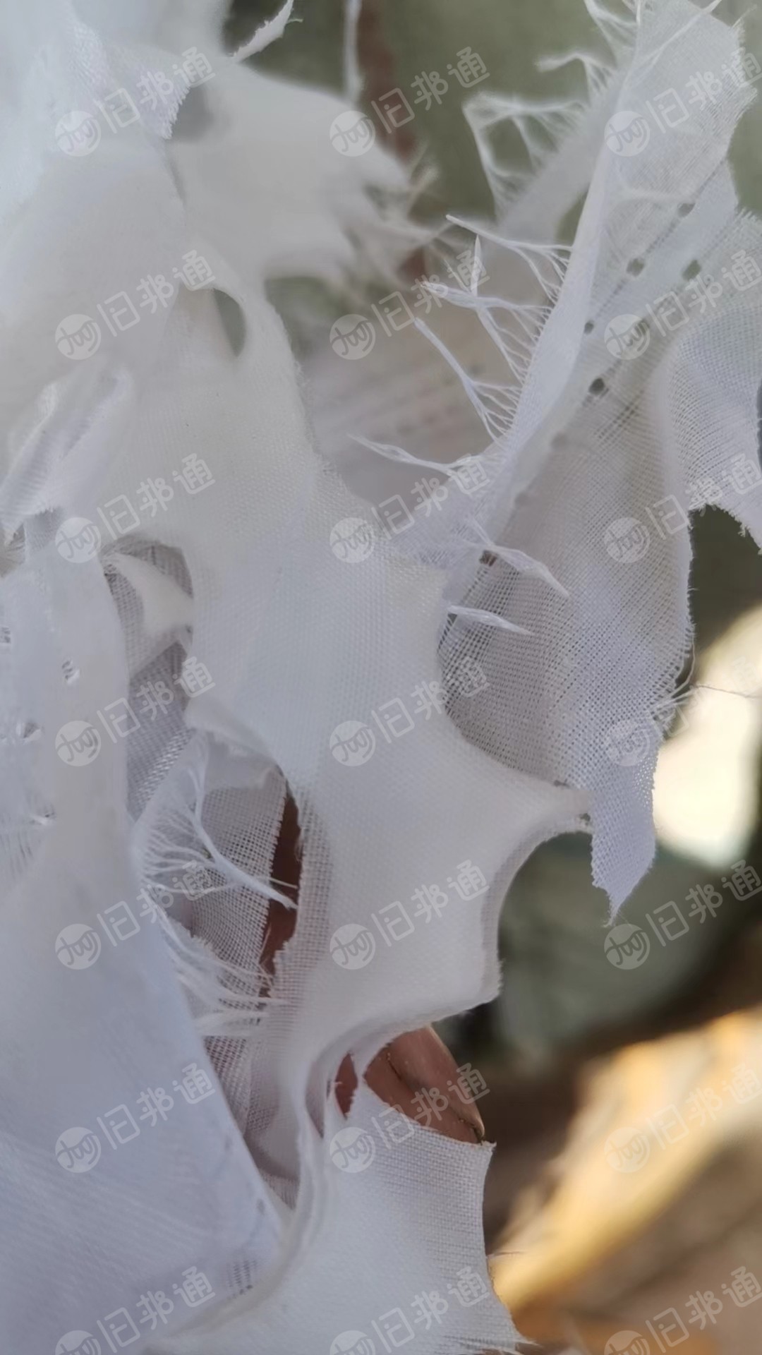 出售白色绢花下脚料35吨左右