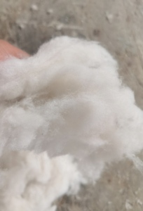 毛衣开花棉，毛衣再生精梳料，8-10支气流纺，出售