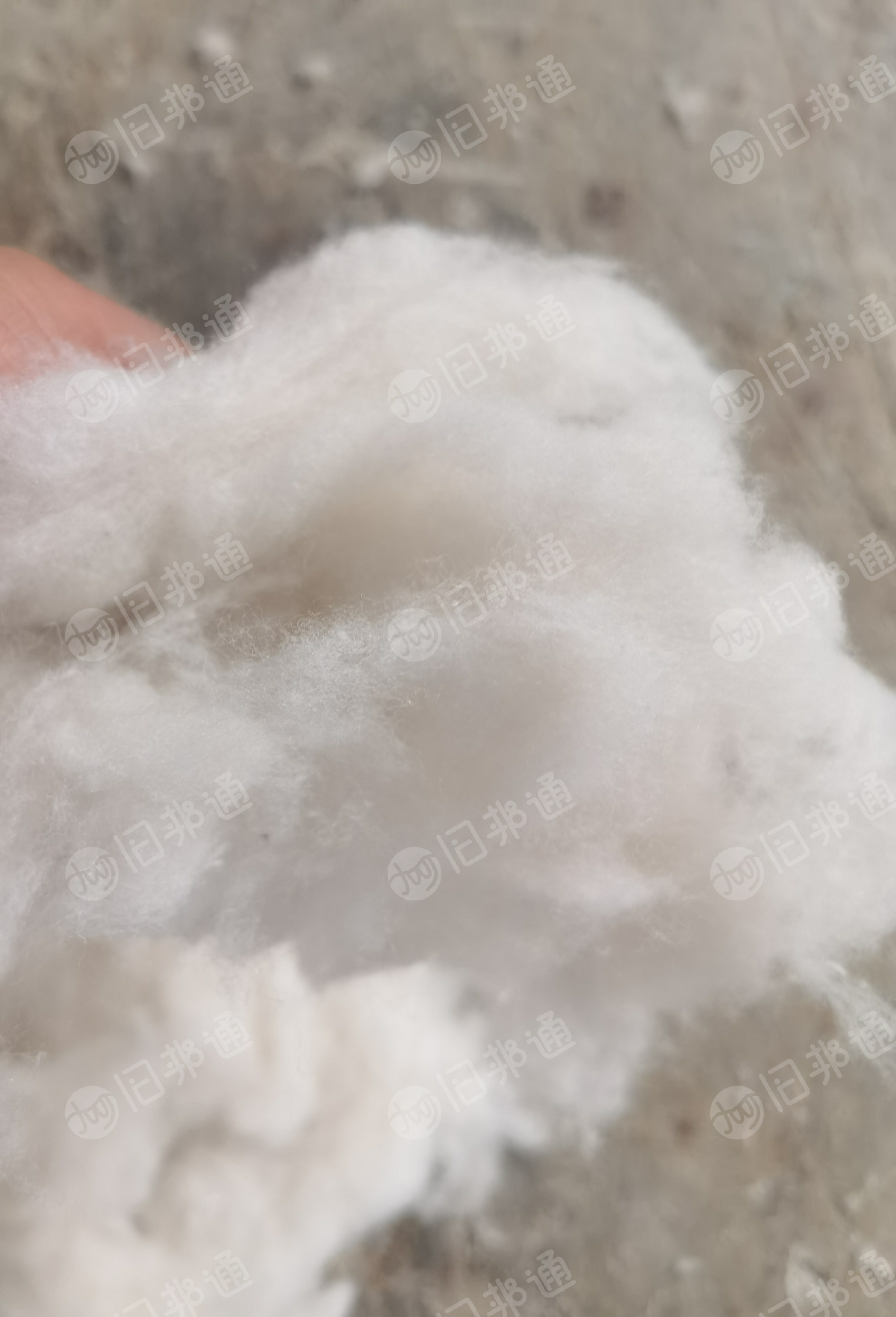 毛衣开花棉，毛衣再生精梳料，8-10支气流纺，出售