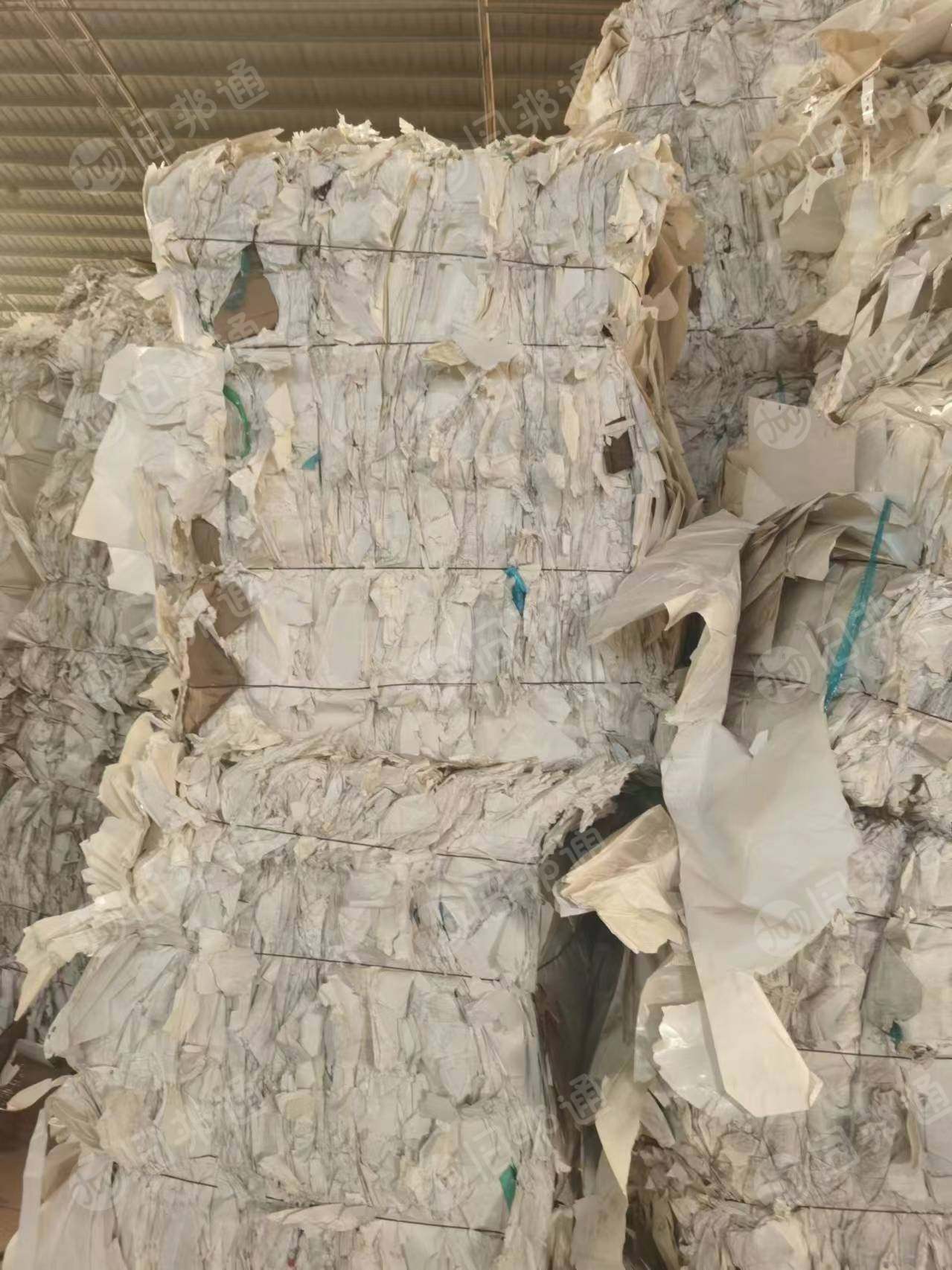 长期出售白色鱼竿纸