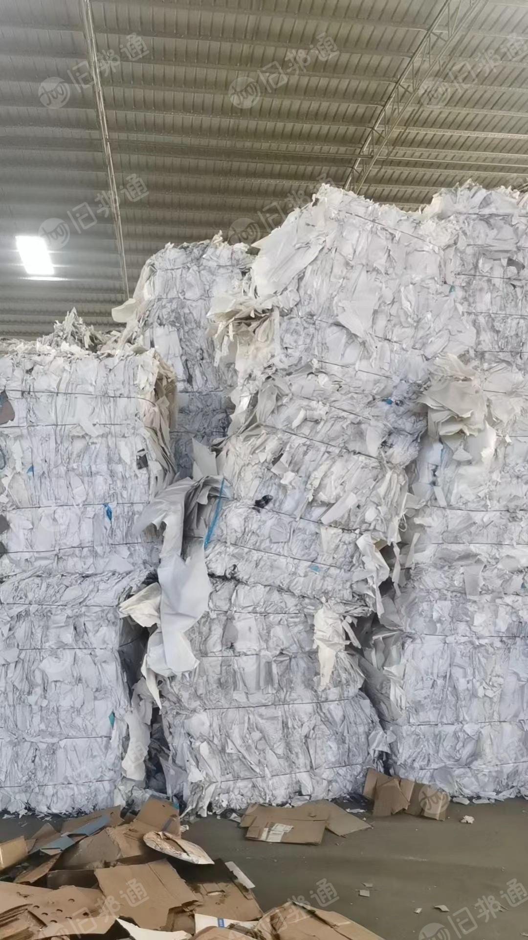 长期出售白色鱼竿纸