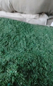 出售PET打包带破碎料，干粉，月供100多吨