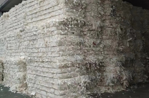 长期收购口杯纸，本色/小花/纯白都收