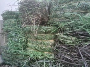 出售PET打包带废料