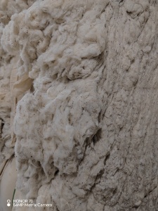 车肚棉下脚料，车肚棉，出售