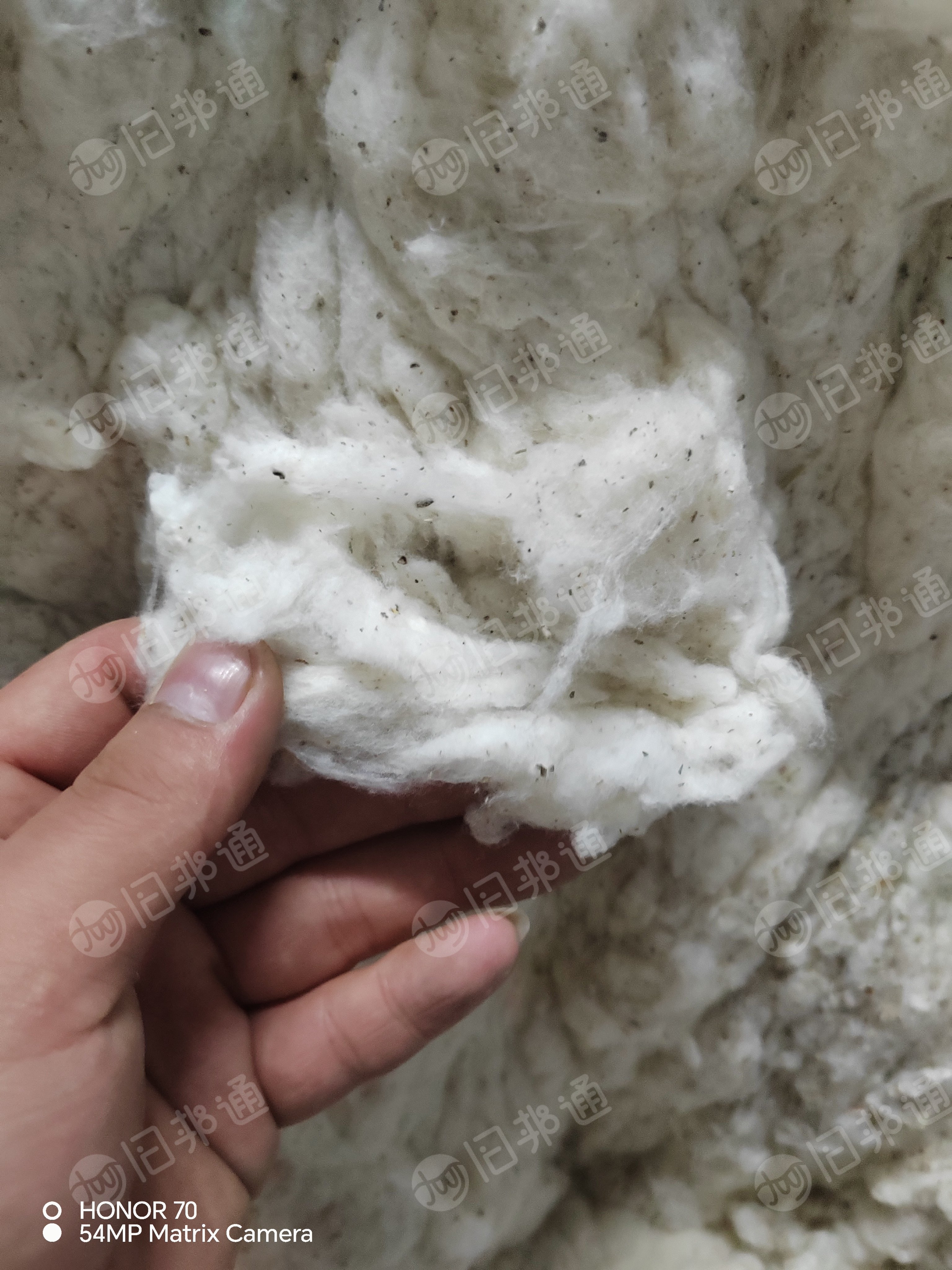 车肚棉下脚料,车肚棉,出售