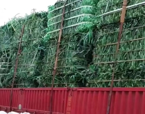 长期出售PET打包带压块