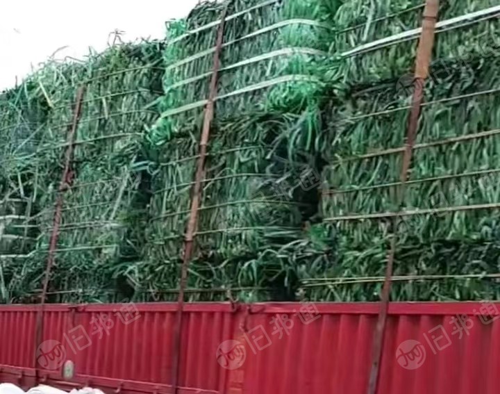 长期出售PET打包带压块