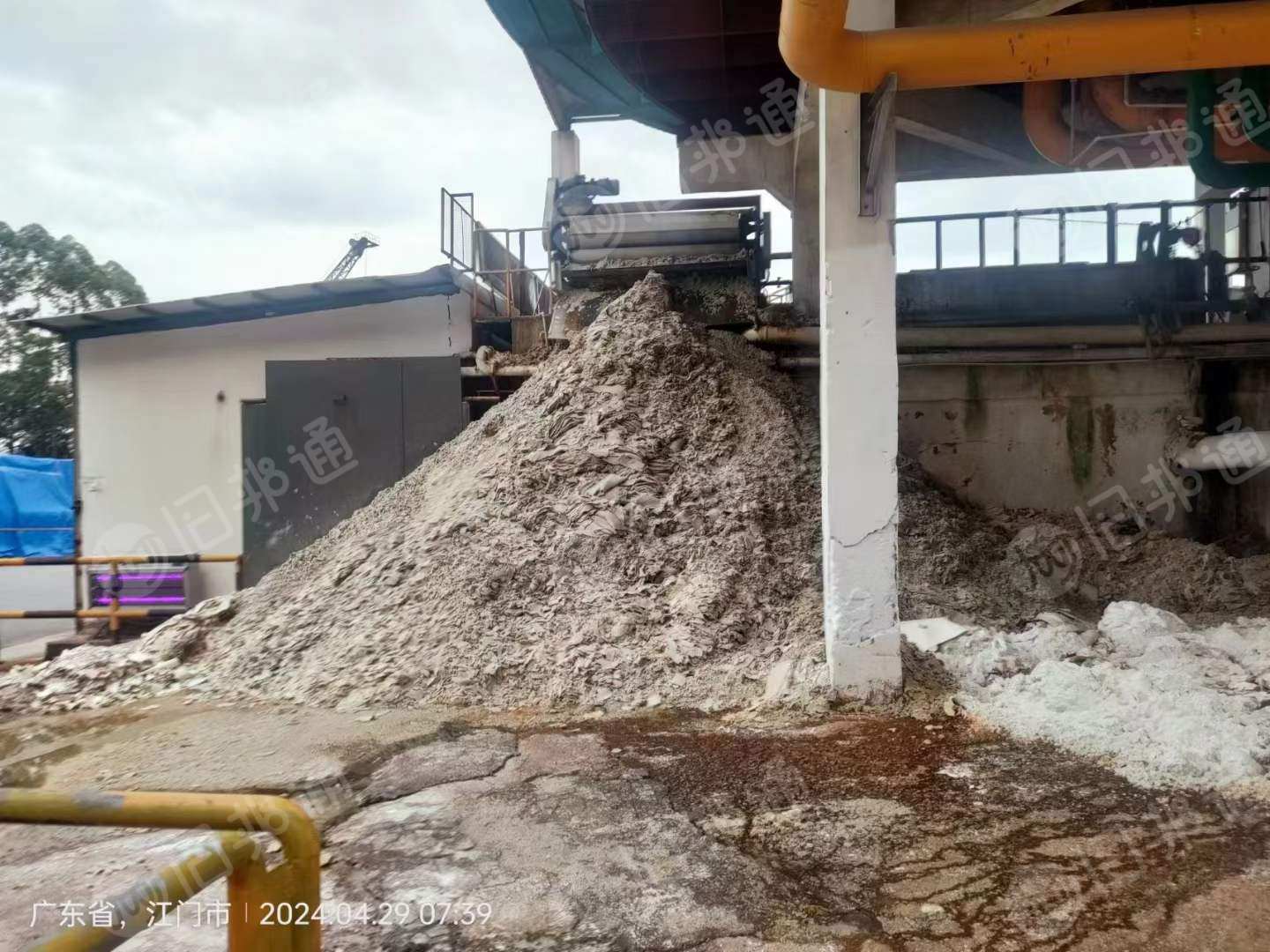 长期出售卫生纸尾浆,现货颜色黄白色